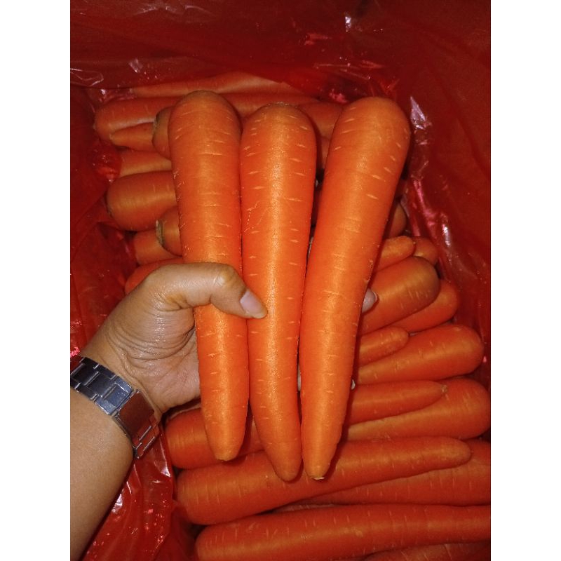 

Sudar Sayur - Wortel Berastagi wortel manis