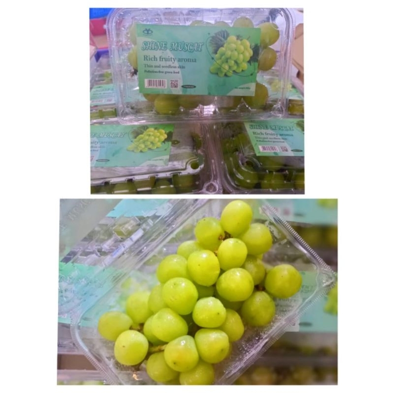 

Anggur Shine Muscat ±500 gram