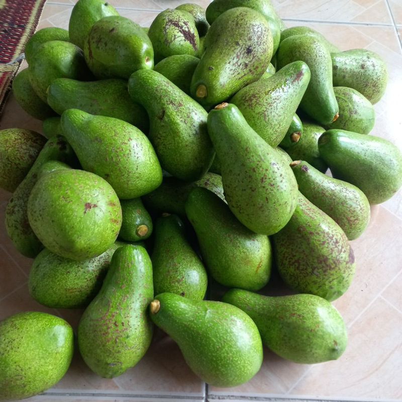 

Alpukat mentega