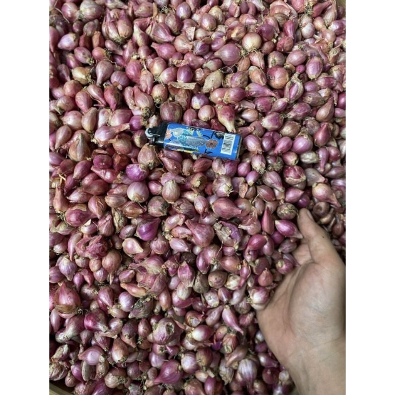

bawang merah ukuran kecil campur 1kg atau 1kilo gram