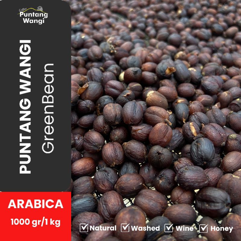 

Greenbean Arabika 1KG (Puntang Wangi Coffee) - Kopi Organik Premium Tanpa Bahan Kimia Pestisida