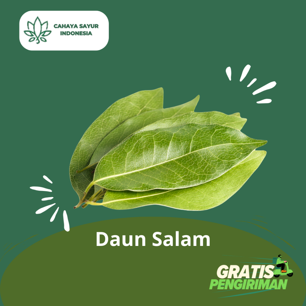 

Daun Salam / Daun Salam Segar 1kg + Gratis Ongkir