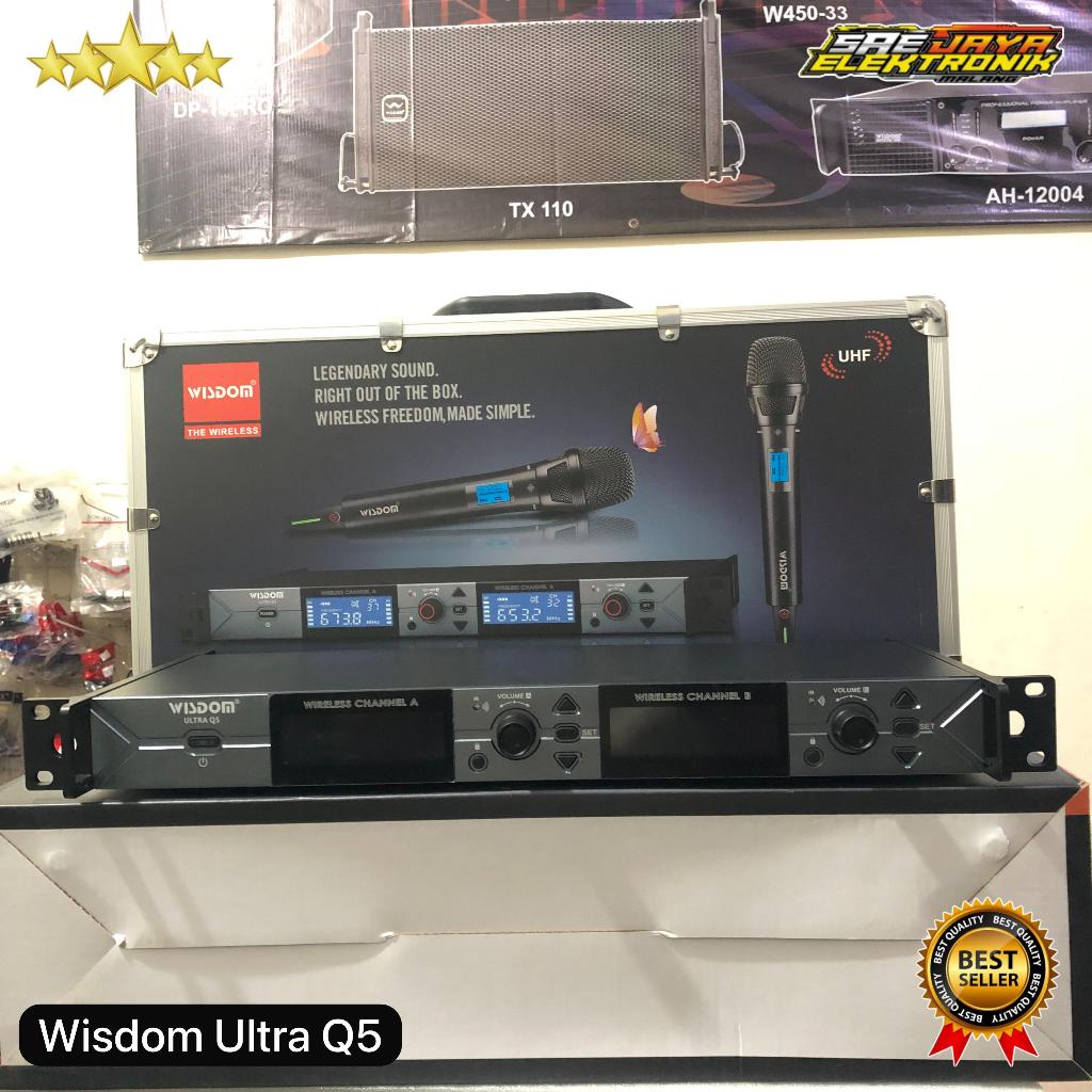 Mic Wisdom Ultra Q5 Dual Channel