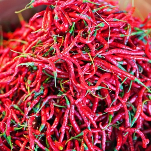 

Cabai Keriting Merah Segar Pilihan/Cabe Keriting/Cabe Merah Keriting