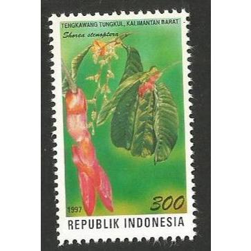 

A 10399 SATU BUAH PRANGKO INDONESIA TAHUN 1997 TEMA FLORA TENGKAWANG TUNGKUL IDENTITAS PROVINSI NUSA TENGGARA BARAT KONDISI MNH MINT NEVER HINGED