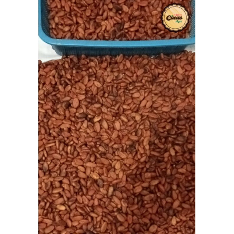 Biji Kakao Non Fermentasi 1 Kg / Biji Kakao Grade A/Super