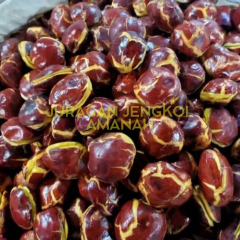 

JENGKOL SPI TUA SUPER 1KG BIG SALE 12.12