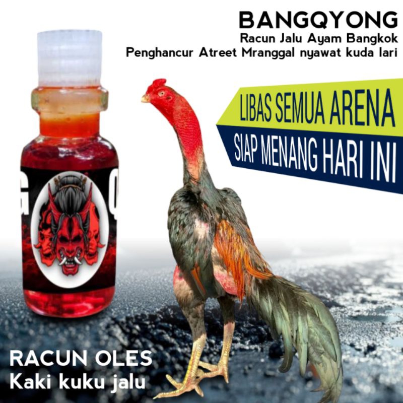 Mengatasi kaki ayam Bangkok pukulan lemah