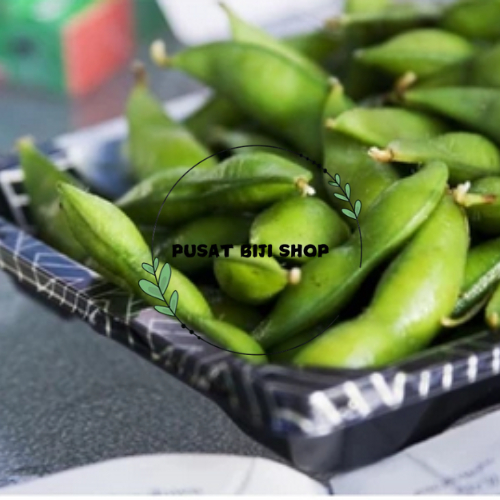 

Wiji Benih Biji Kapri Siap Semai Kacang Kedelai Bibit Edamame Eda Seeds Isi 20 PCS