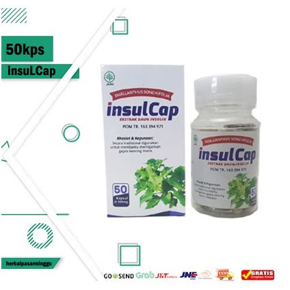

Insulcap Herbal Untuk Penderita Diabetes dan Kencing Manis 50 Kapsul