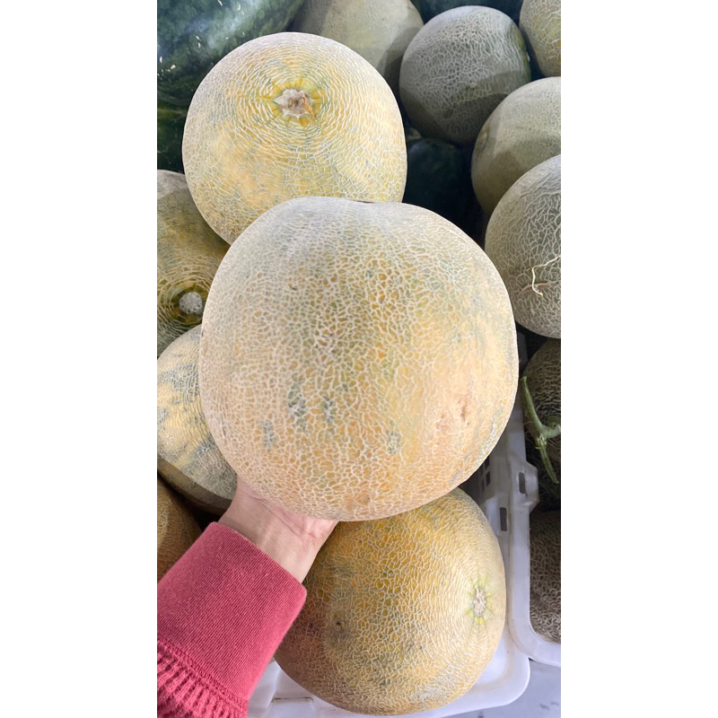 

(INSTAN) Melon 1 Biji