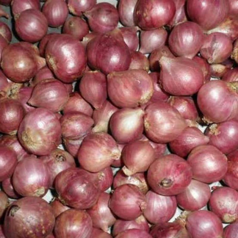 

Bawang Merah Bima