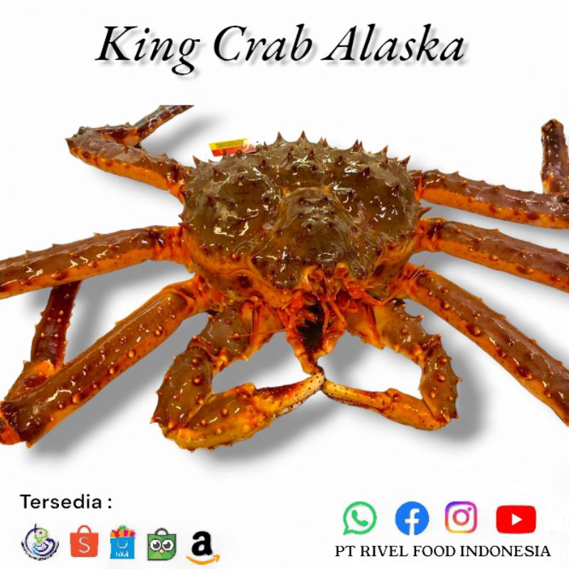 King Crabs Alaska Fresh Frozen size 2kg-3kg Utuh