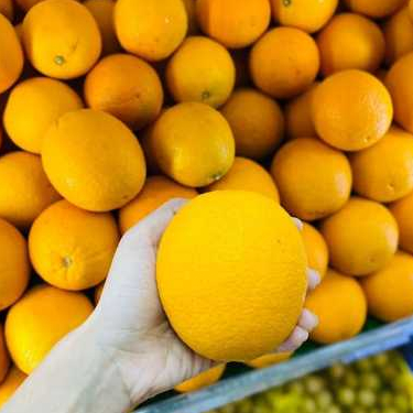 

Sunkist Navel 1kg