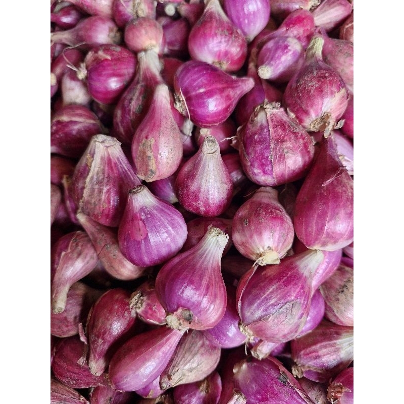 

Bawang Merah Brebes Kering dan Bersih kemasan 1/2kg dan 1kg