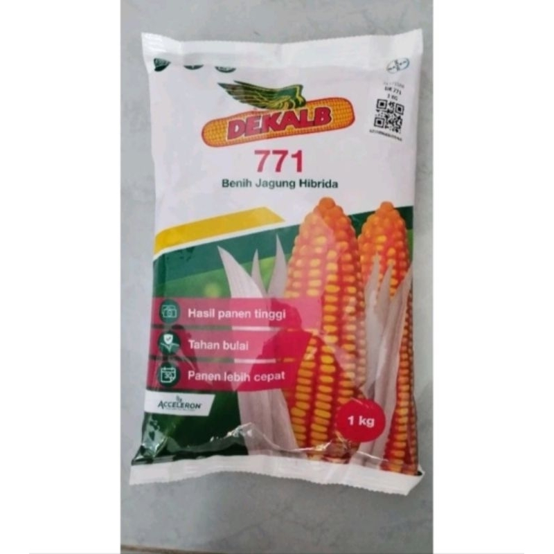Benih bibit jagung dekalb DK 771 1 kg original