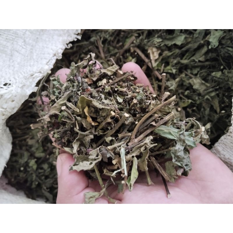 

DAUN KUMIS KUCING KERING 500gram