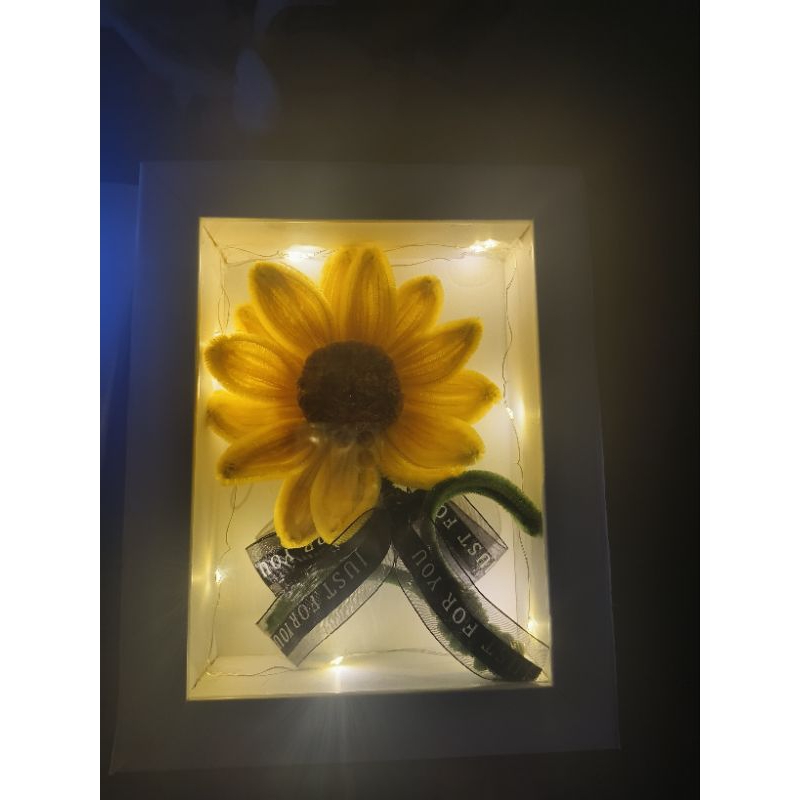 

FLOWER BOX LED/ GIFT BOX
