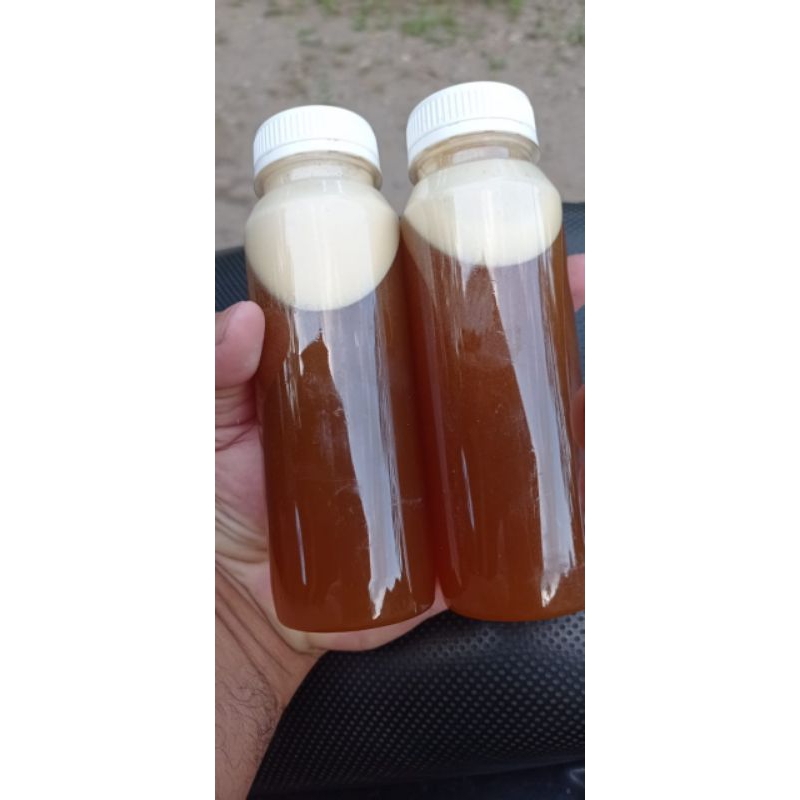 

madu klanceng original 250ml
