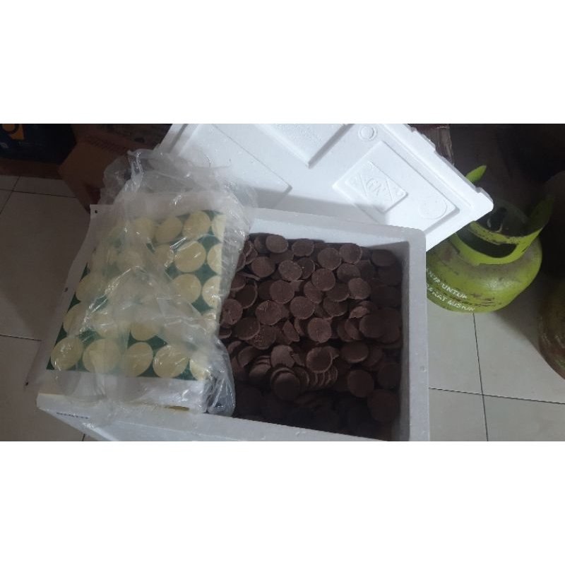 

terasi udang belacan