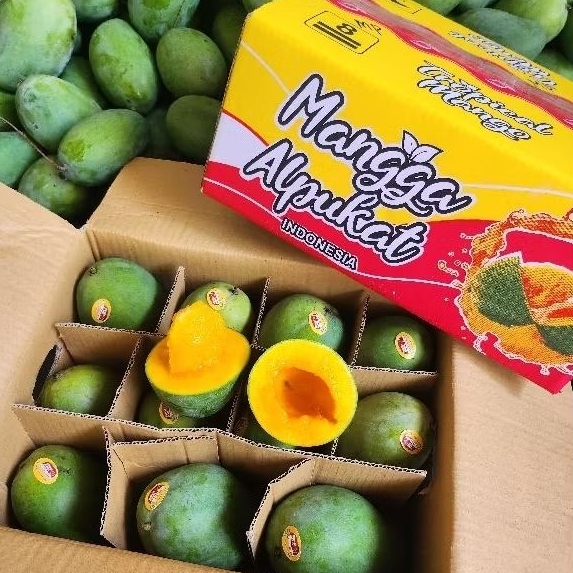 

Mangga Bangil Pasuruan Mangga Harum Manis Mangga Alpukat Perbox isi 5kg