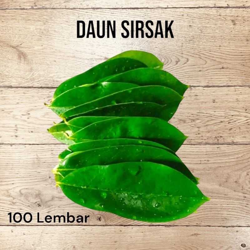 

100lembar DAUN SIRSAK SEGAR HERBAL