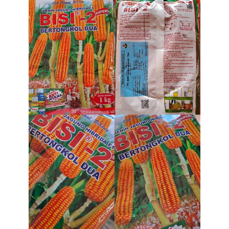 benih jagung bisi 2