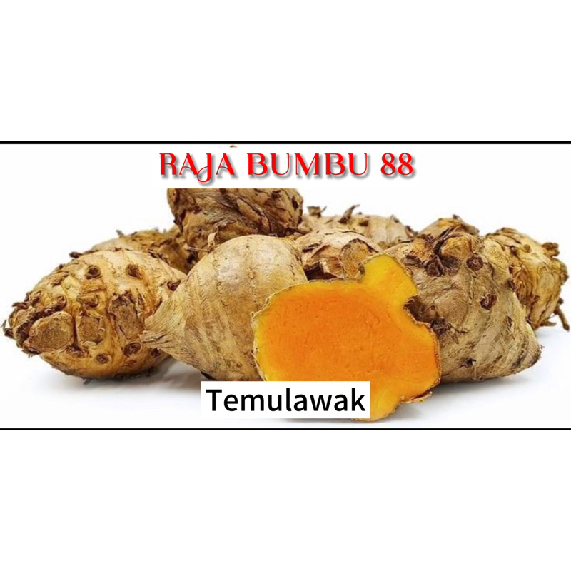 

TEMULAWAK 1 pack 250 gr