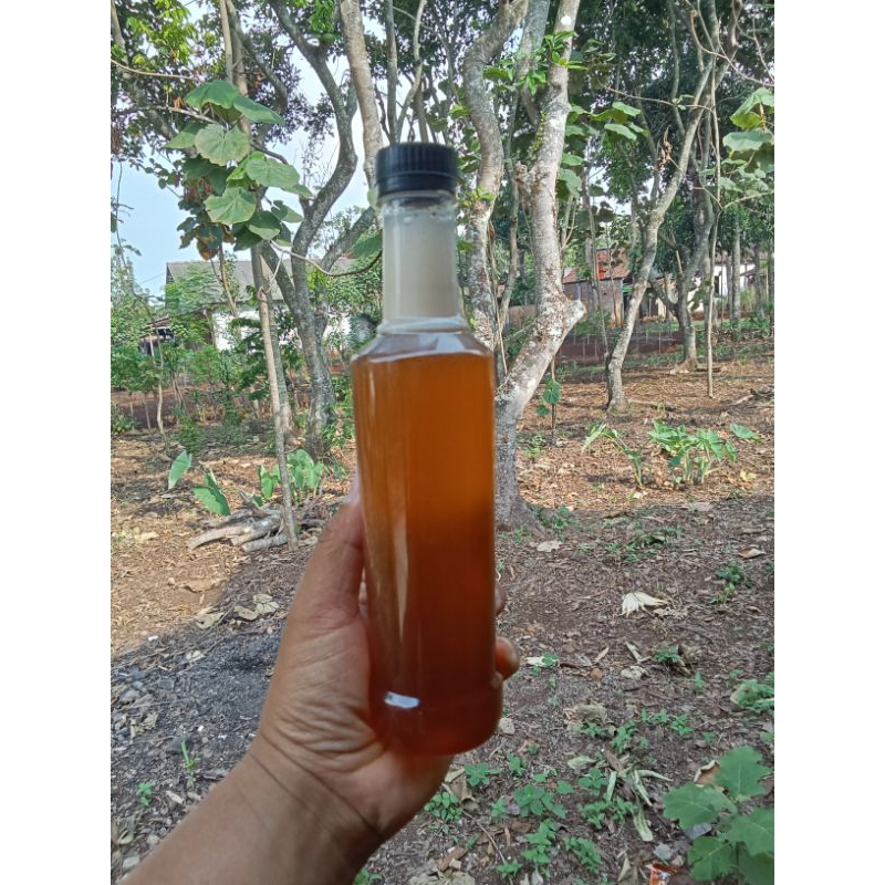 

MADU LIAR, MADU HUTAN MADU ALAS, Di JAMIN ASLI DAN MURNI LIAR kapasitas 350ml