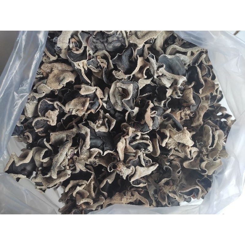 

1kg Jamur kuping hitam/jamur kuping kering kualitas sedang