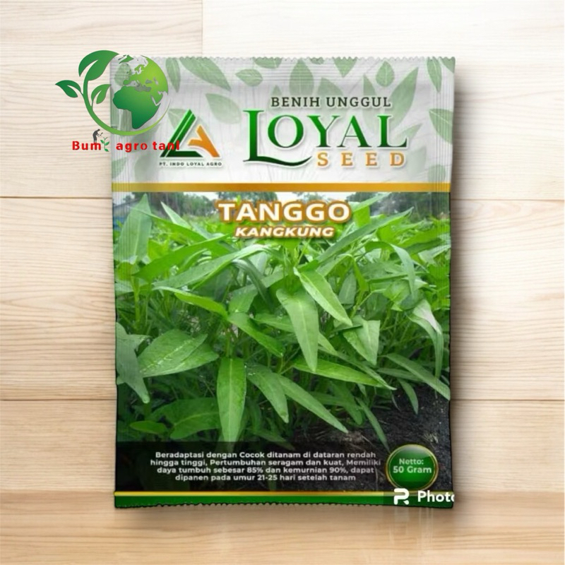 BENIH KANGKUNG TANGGO / BIBIT KANGKUNG TANGGO KEMASAN 50 GRAM CAP LOYAL SEED