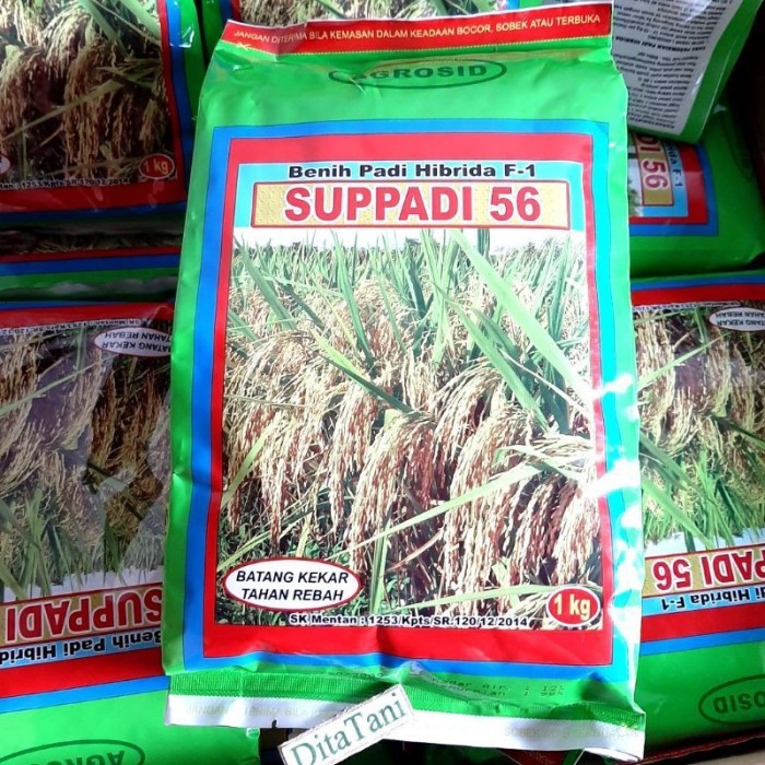 PROMO TERBATAS SUPPADI 56 ASLI 100%