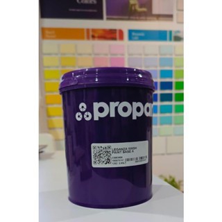 CAT PROPAN LEGANZA WASH PAINT 2,5 LT