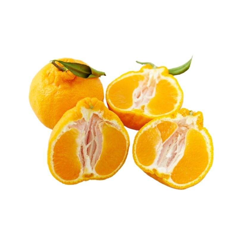 

Jeruk Papagan 900gr - 1.000gr