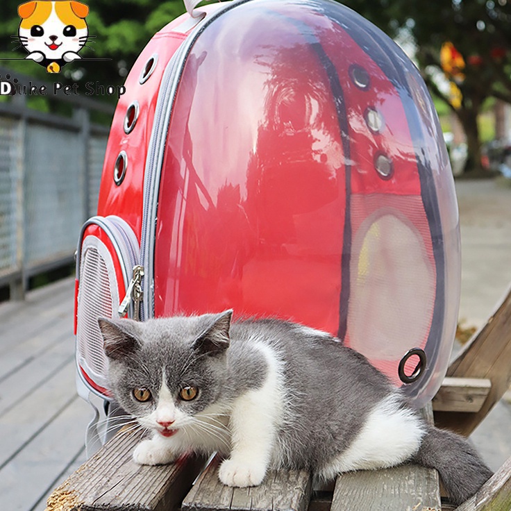 Big Star  Tas kucing astronot Tas kucing Keranjang kucing tas astronot kucing tas kucing ransel Rans