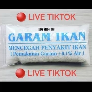 2 LIVE TIKTOK Ikan hias KOI ikan hias KOI ikan hias ikan hias