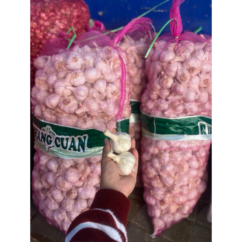 

Bawang putih kating kotor 1kg