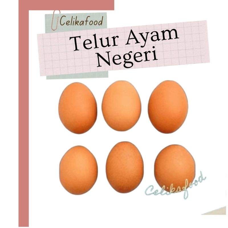 

Telur Ayam Negeri 500gr Telor Negri Egg Protein