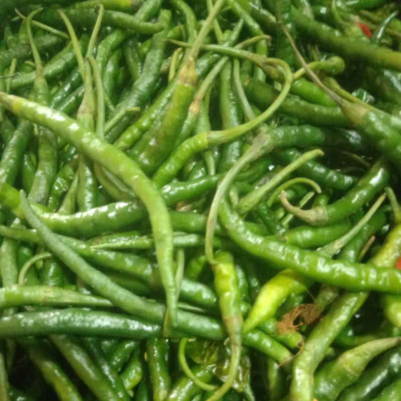 

ijo keriting per 250 gr