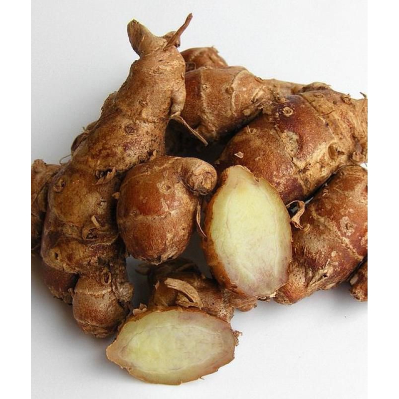 

Kencur Segar / Cikur / Kencur Fresh / Kencur Seblak / Bahan Minuman / Bahan Makanan / Beras 100 GRAM