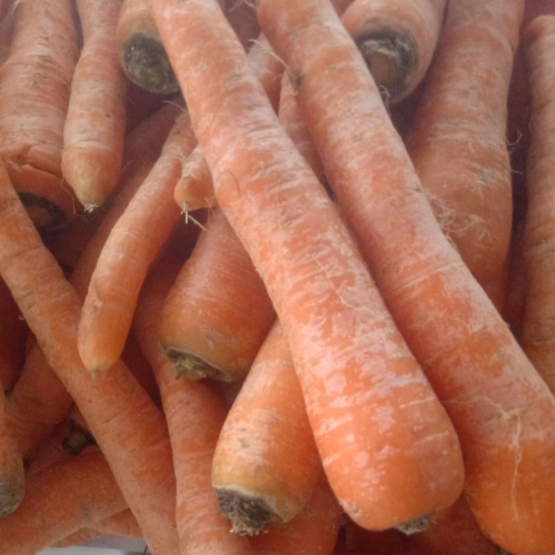 

wortel lokal per 500 gr