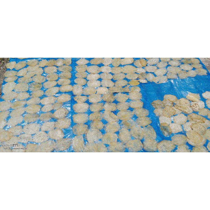 

kerupuk jengkol mentah 1kg/750/500/250gram, khas minang PADANG asli