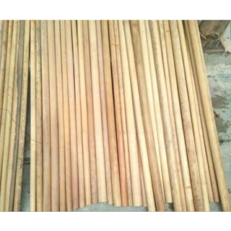 Bambu Tamiang panjang 50-60 cm pilihan