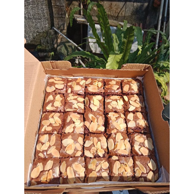 

fudgy Brownies Almond sekat 25 Pcs ( 20x20 )