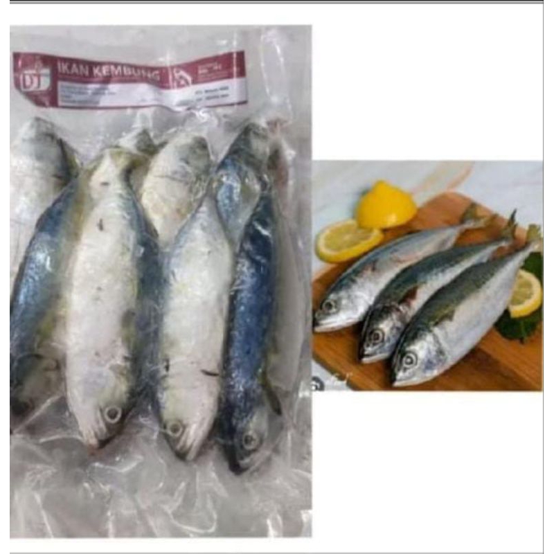 

ikan kembung DJ 1 kg FRozen