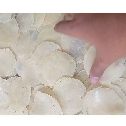 

Emping Melinjo Mentah ukuran besar ( 4 biji ) 1Kg