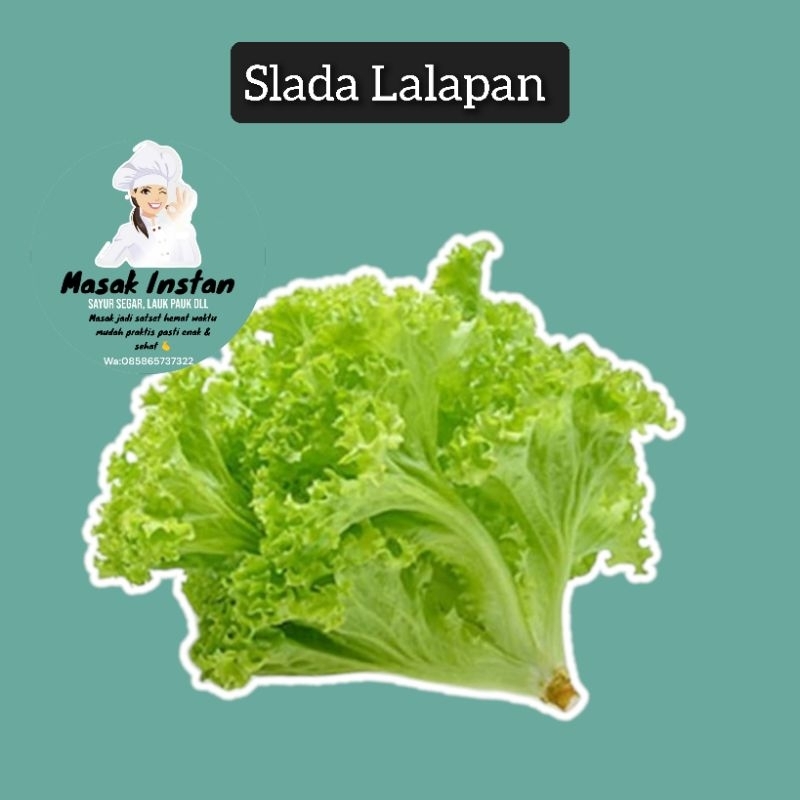 

Selada selada lalapan sayur segar sehat