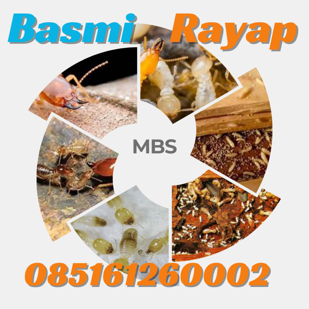 jual jasa basmi rayap madiun anti rayap madiun suntik rayap madiun pest control madiun