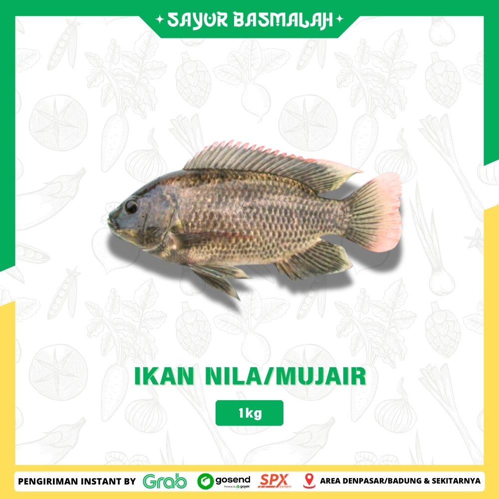 

Ikan Nila/Mujair 1kg - Sayur Basmalah