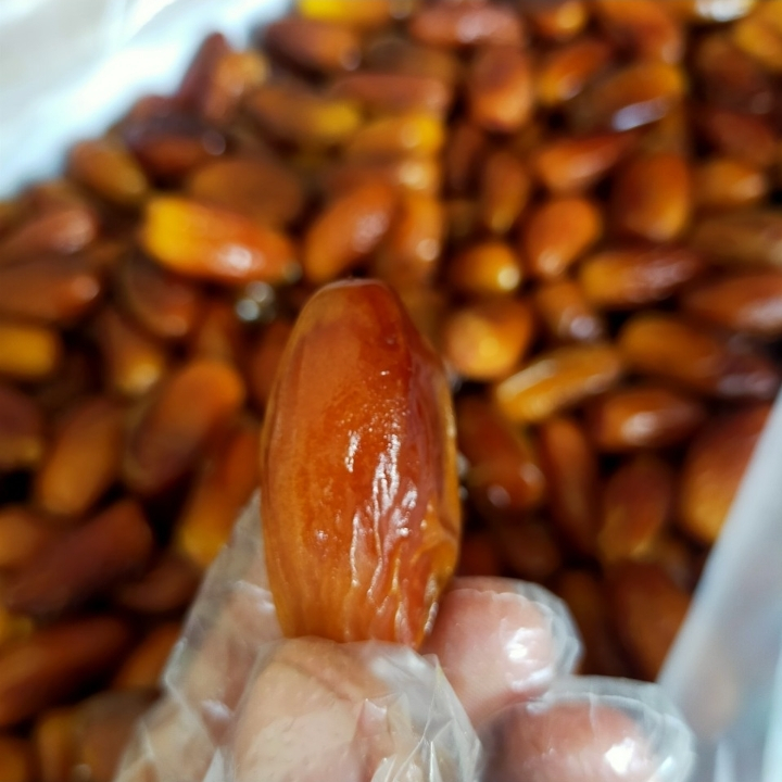 

Kurma Tunisia Madu Sunfruit 1 kg dan 500 gr